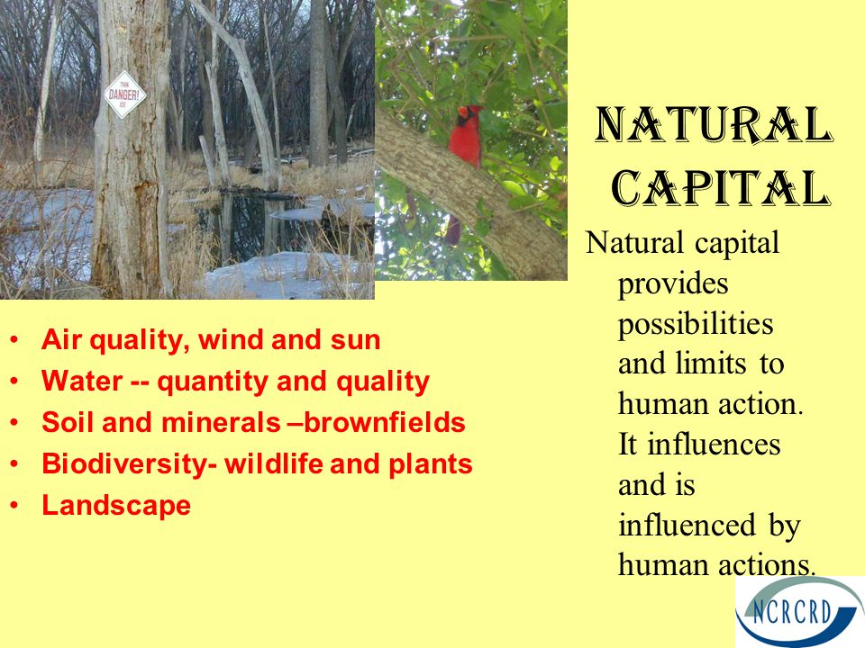 Natural Capital Air quality, wind and sun Water -- quantity and quality Soil and minerals –brownfields Biodiversity- wildlife and plants Landscape Natural capital provides possibilities and limits to human action.