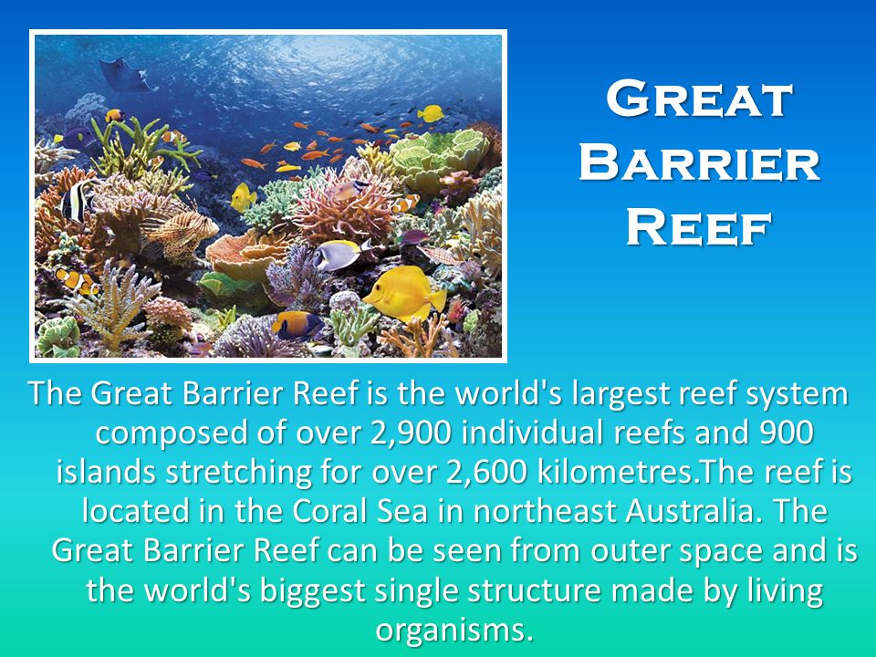 Great Barrier Reef The Great Barrier Reef is the world s largest reef system composed of over 2,900 individual reefs and 900 islands stretching for over 2,600 kilometres.The reef is located in the Coral Sea in northeast Australia.