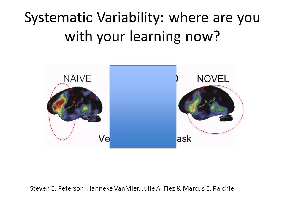 Systematic Variability: where are you with your learning now.