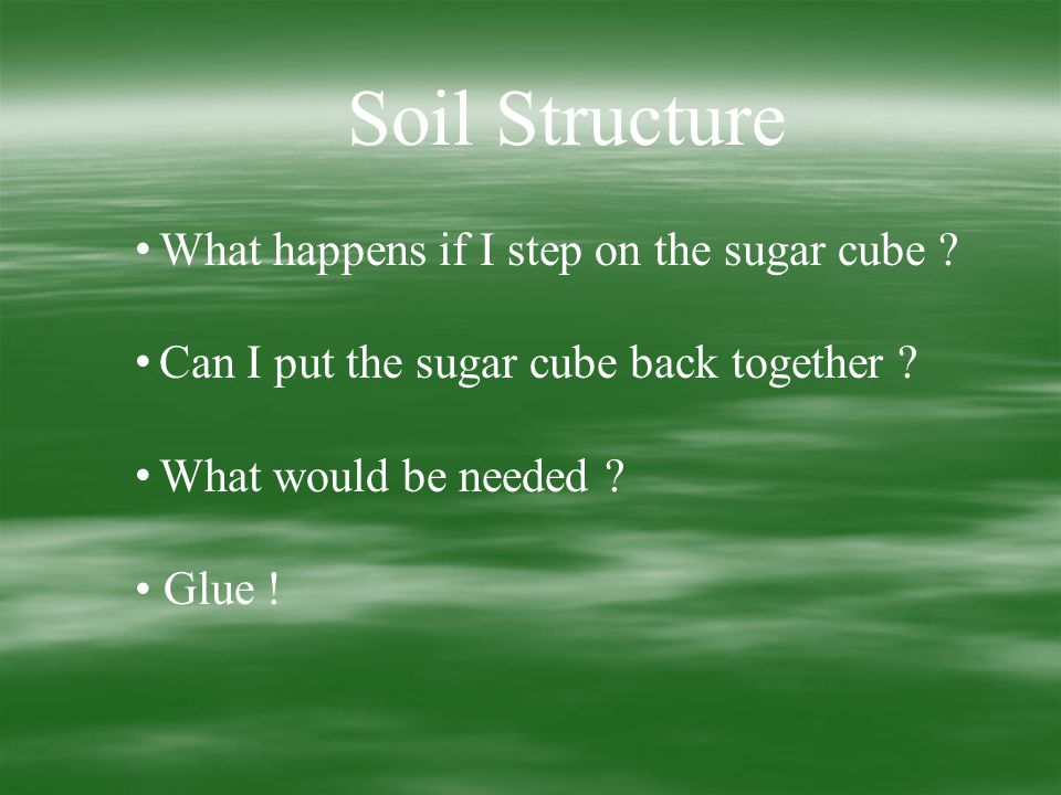 Soil Structure What happens if I step on the sugar cube .