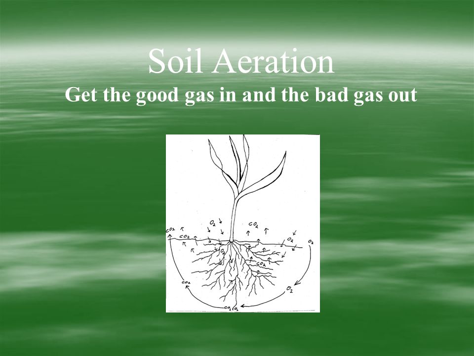 Soil Aeration Get the good gas in and the bad gas out