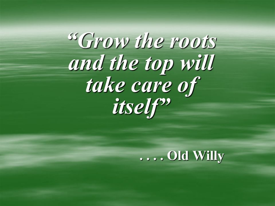 Grow the roots and the top will take care of itself .... Old Willy