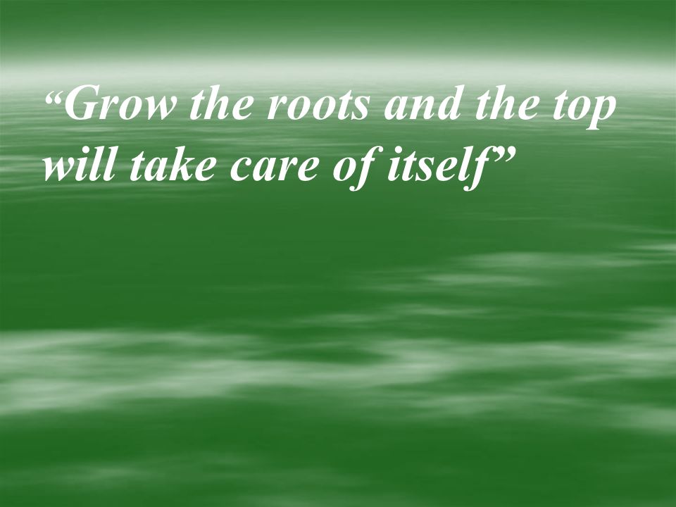 Grow the roots and the top will take care of itself