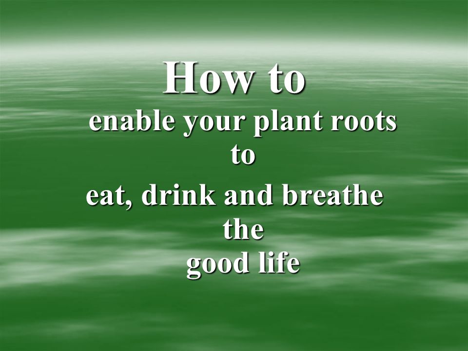 How to enable your plant roots to eat, drink and breathe the good life