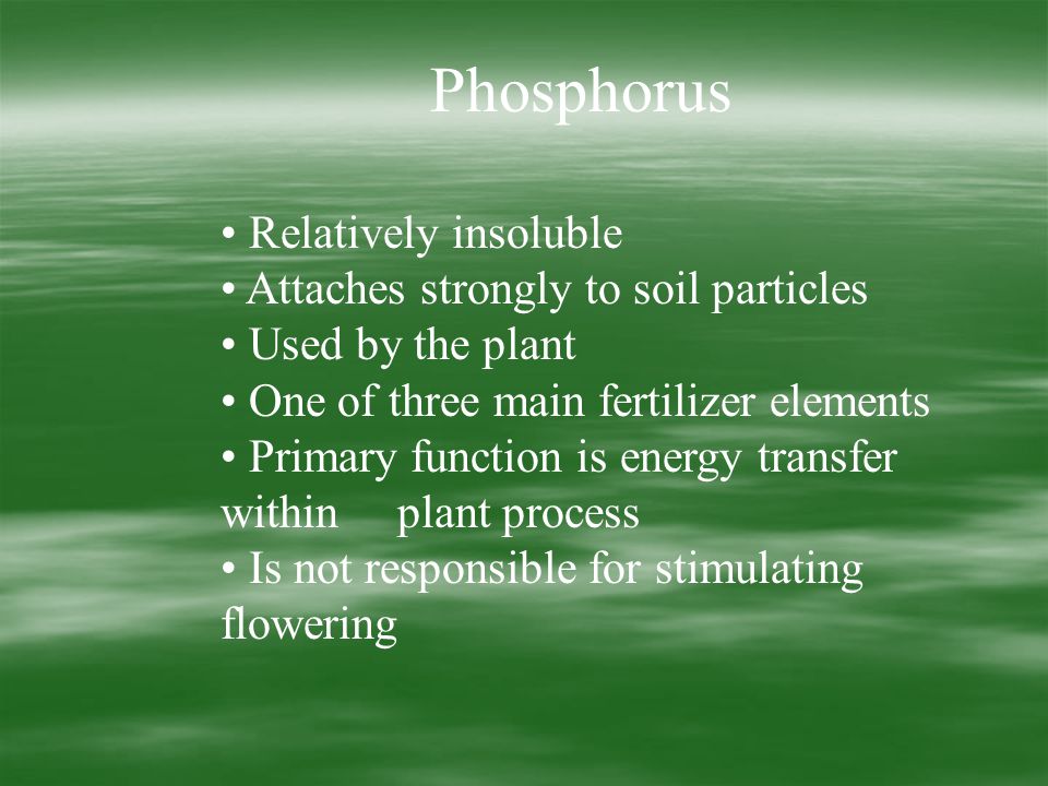 Phosphorus Relatively insoluble Attaches strongly to soil particles Used by the plant One of three main fertilizer elements Primary function is energy transfer within plant process Is not responsible for stimulating flowering