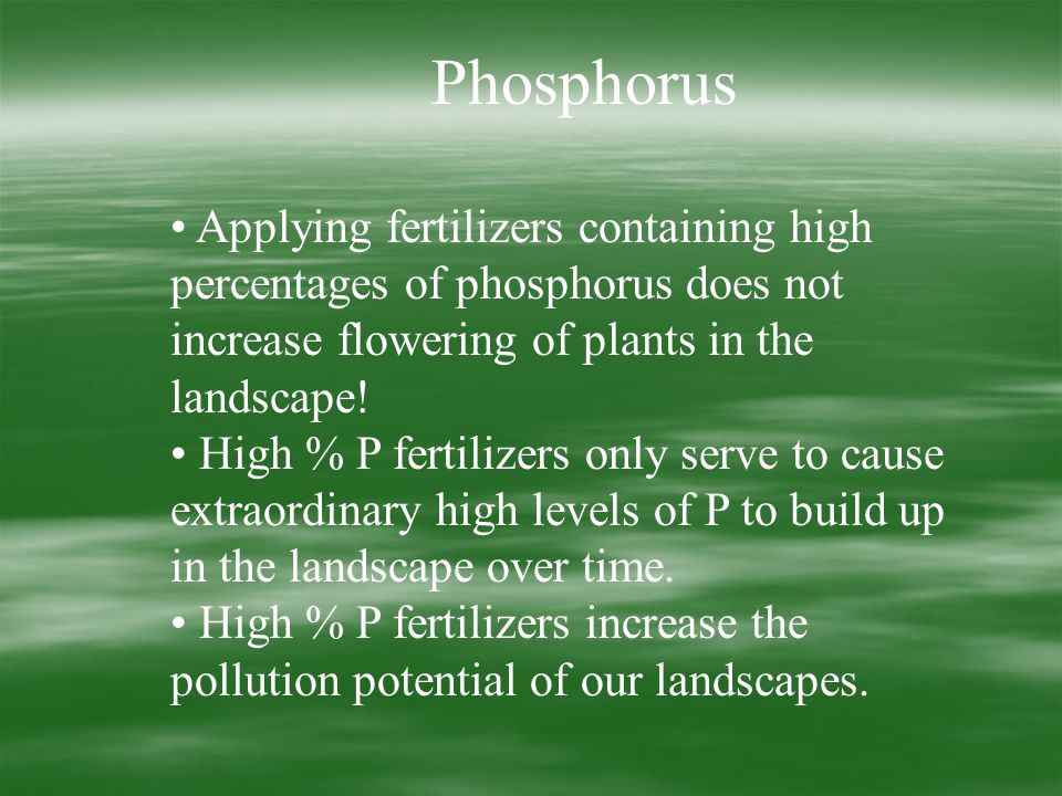 Phosphorus Applying fertilizers containing high percentages of phosphorus does not increase flowering of plants in the landscape.