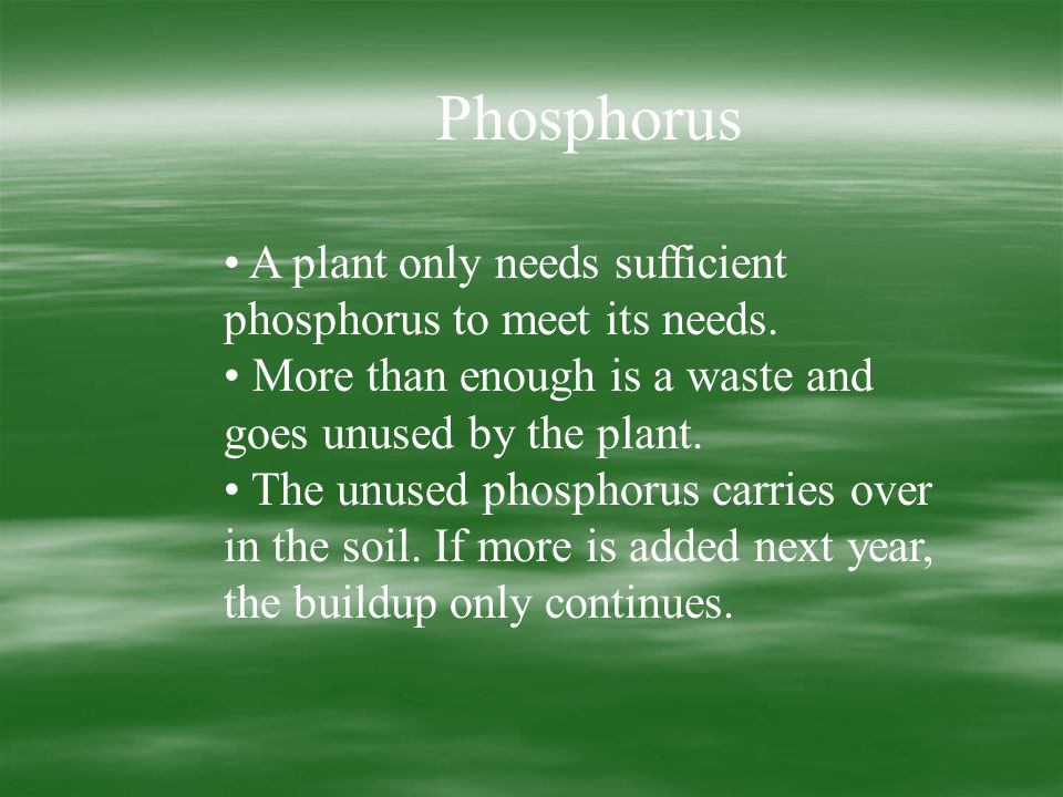 Phosphorus A plant only needs sufficient phosphorus to meet its needs.