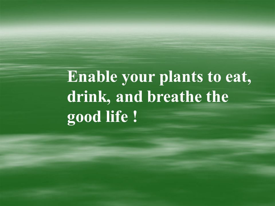 Enable your plants to eat, drink, and breathe the good life !