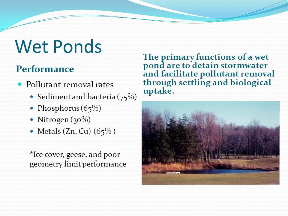Wet Ponds Performance The primary functions of a wet pond are to detain stormwater and facilitate pollutant removal through settling and biological uptake.