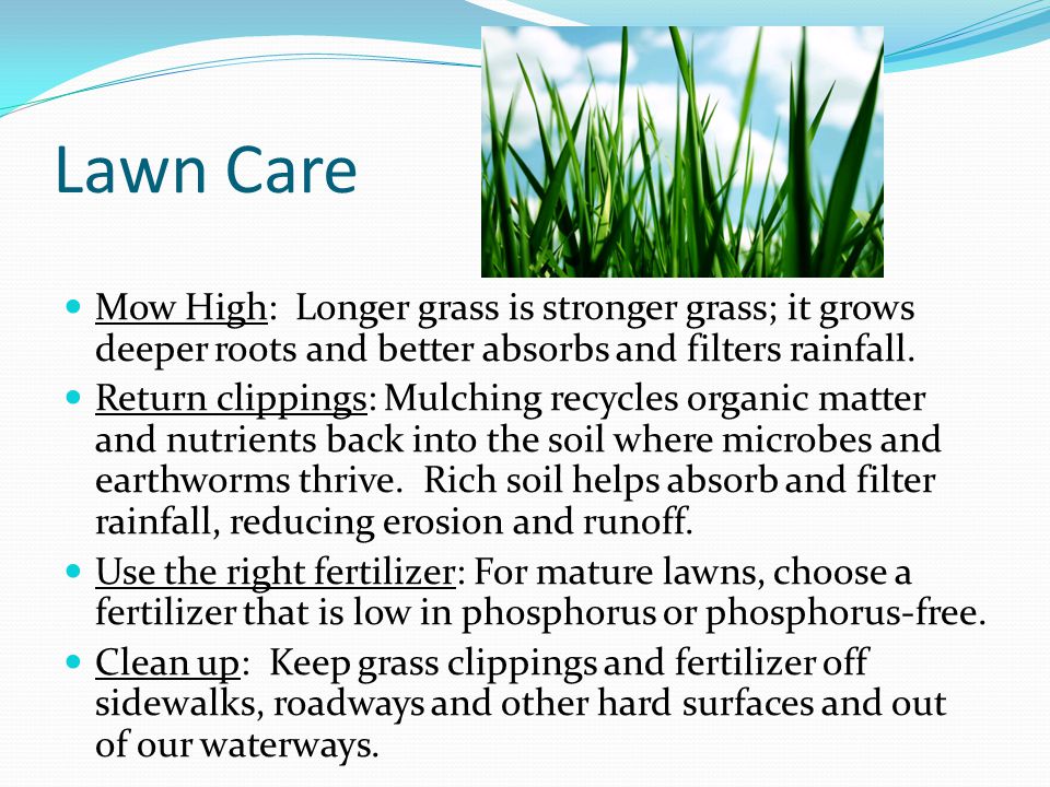 Lawn Care Mow High: Longer grass is stronger grass; it grows deeper roots and better absorbs and filters rainfall.