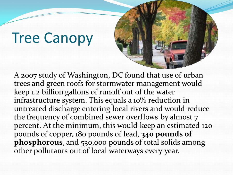 Tree Canopy A 2007 study of Washington, DC found that use of urban trees and green roofs for stormwater management would keep 1.2 billion gallons of runoff out of the water infrastructure system.