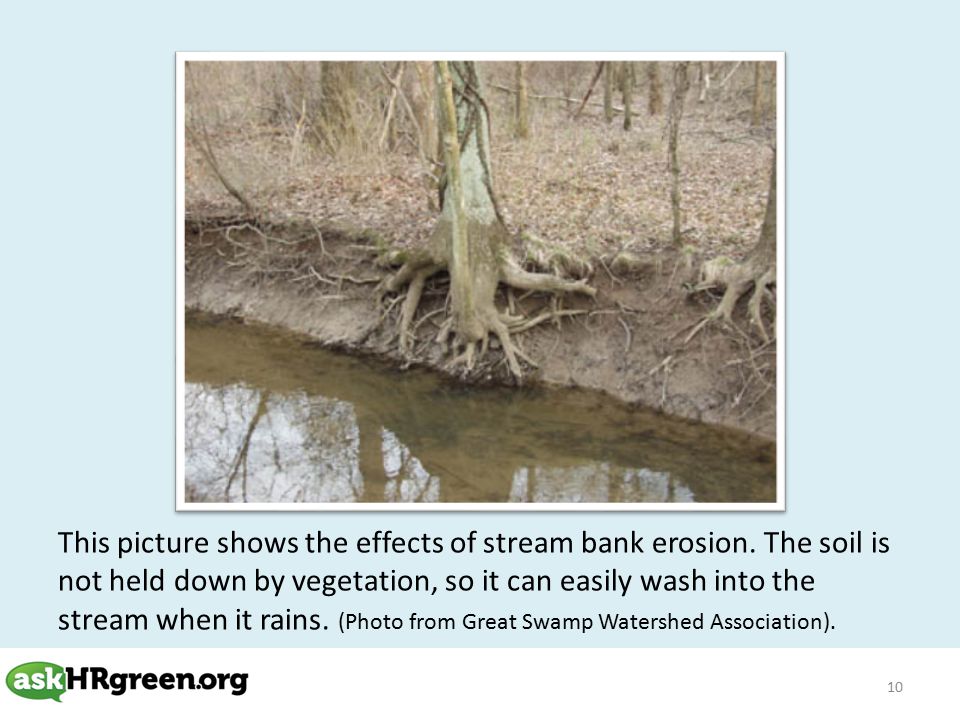 10 This picture shows the effects of stream bank erosion.