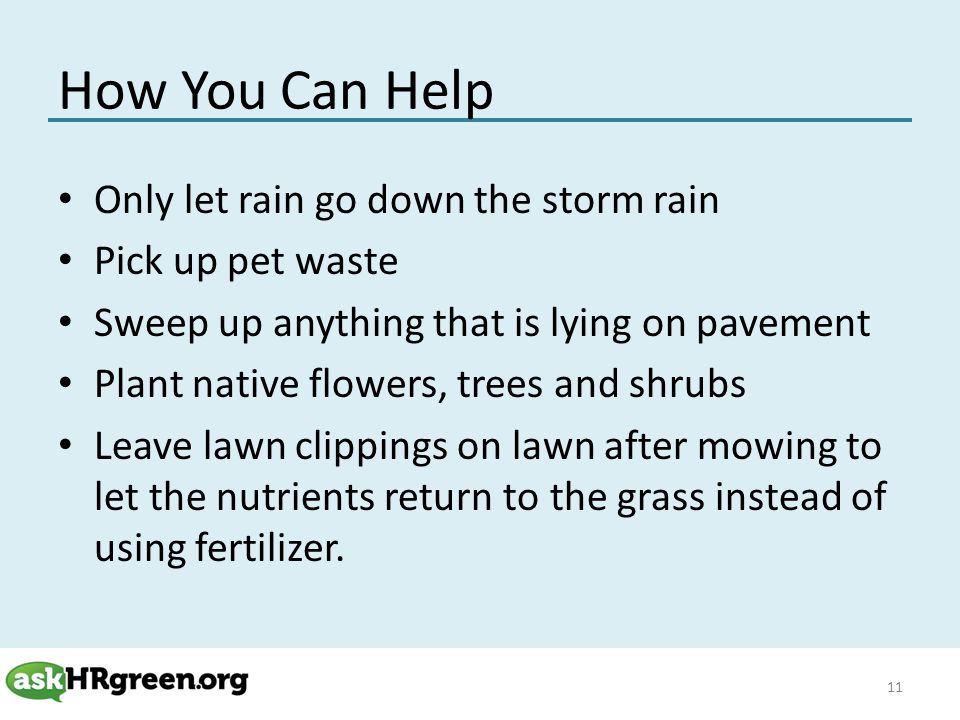 How You Can Help Only let rain go down the storm rain Pick up pet waste Sweep up anything that is lying on pavement Plant native flowers, trees and shrubs Leave lawn clippings on lawn after mowing to let the nutrients return to the grass instead of using fertilizer.