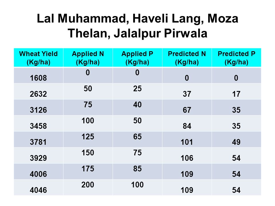 Lal Muhammad, Haveli Lang, Moza Thelan, Jalalpur Pirwala Wheat Yield (Kg/ha) Applied N (Kg/ha) Applied P (Kg/ha) Predicted N (Kg/ha) Predicted P (Kg/ha)