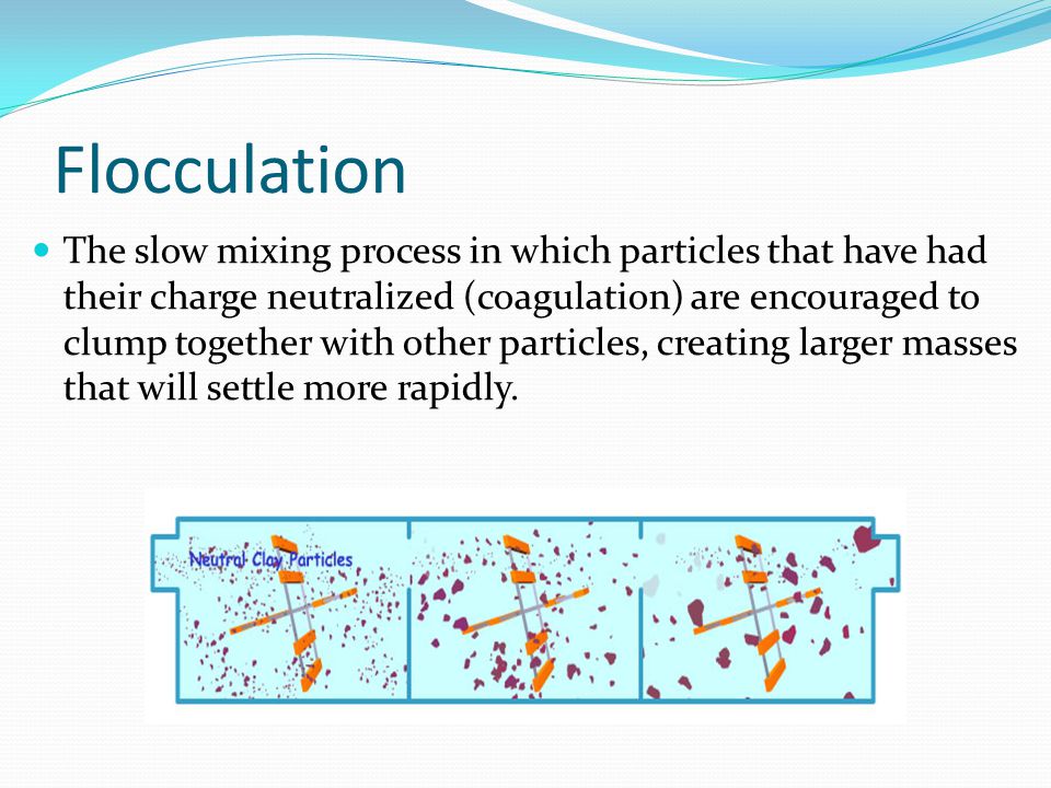 Flocculation The slow mixing process in which particles that have had their charge neutralized (coagulation) are encouraged to clump together with other particles, creating larger masses that will settle more rapidly.