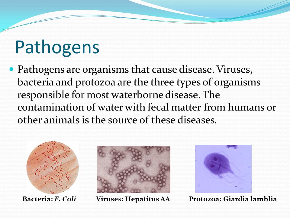 Pathogens Pathogens are organisms that cause disease.