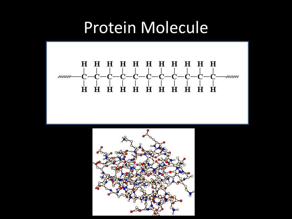 Protein Molecule