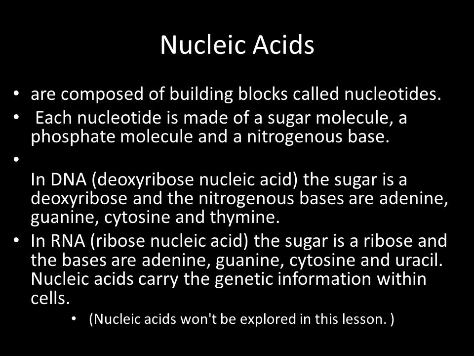 Nucleic Acids are composed of building blocks called nucleotides.