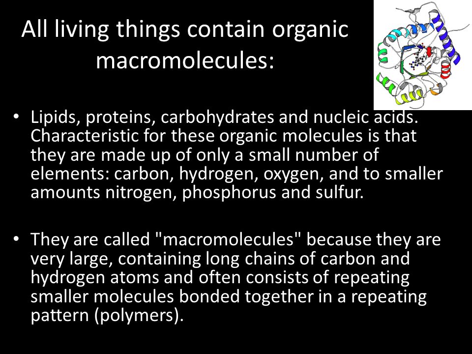 All living things contain organic macromolecules: Lipids, proteins, carbohydrates and nucleic acids.