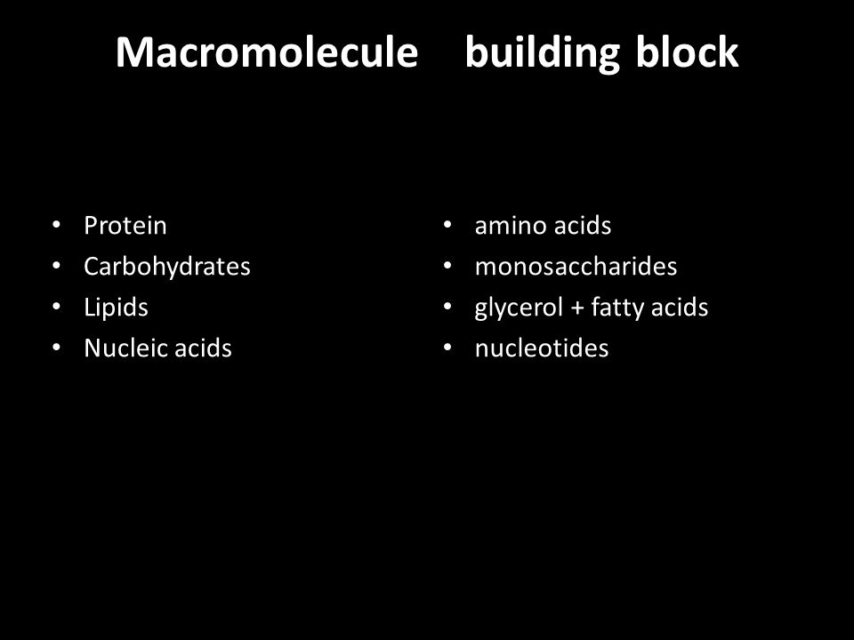 Macromolecule building block Protein Carbohydrates Lipids Nucleic acids amino acids monosaccharides glycerol + fatty acids nucleotides