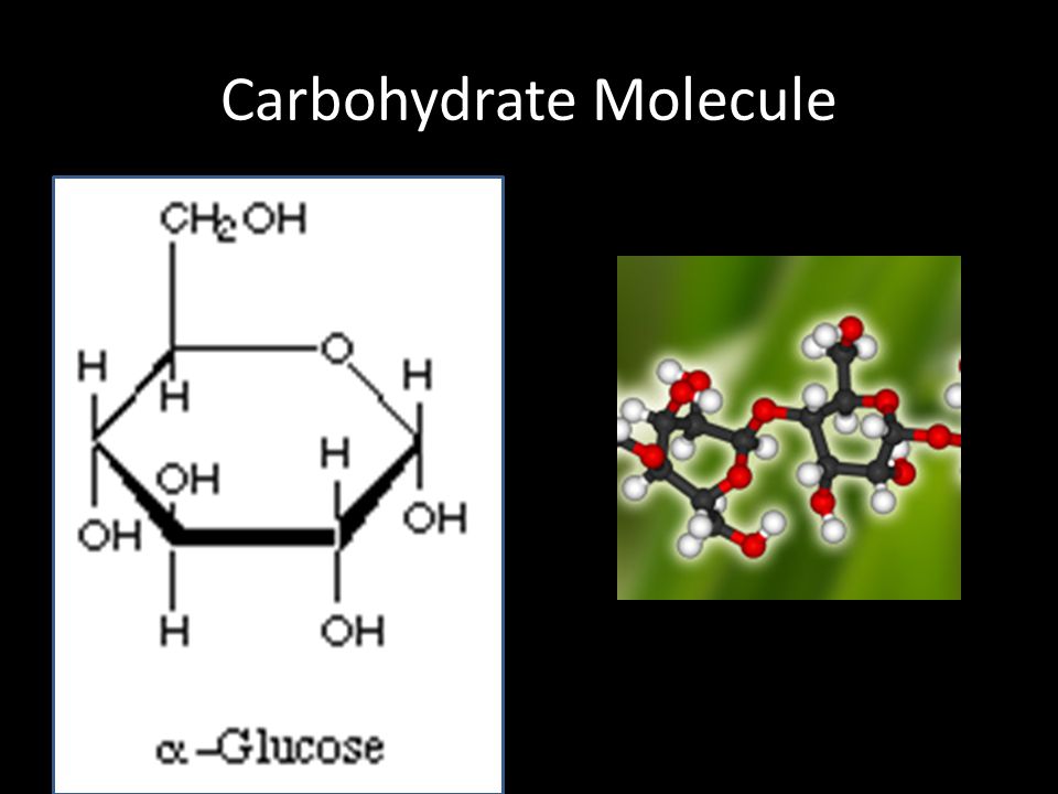 Carbohydrate Molecule