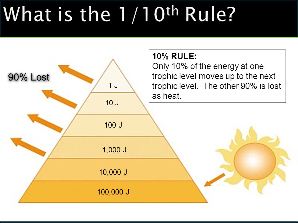 What is the 1/10 th Rule.