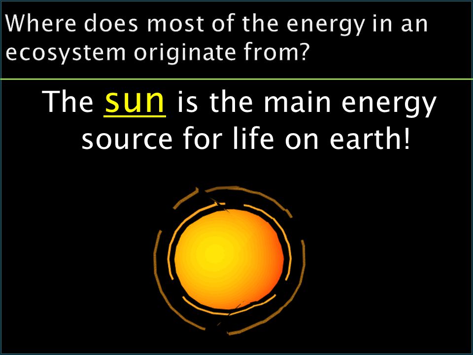 The sun is the main energy source for life on earth!