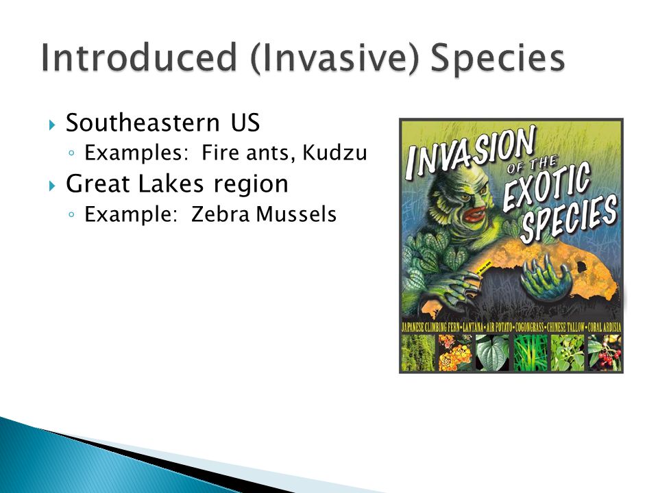  Southeastern US ◦ Examples: Fire ants, Kudzu  Great Lakes region ◦ Example: Zebra Mussels