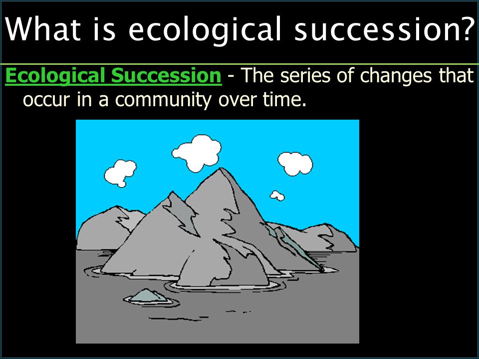 What is ecological succession.