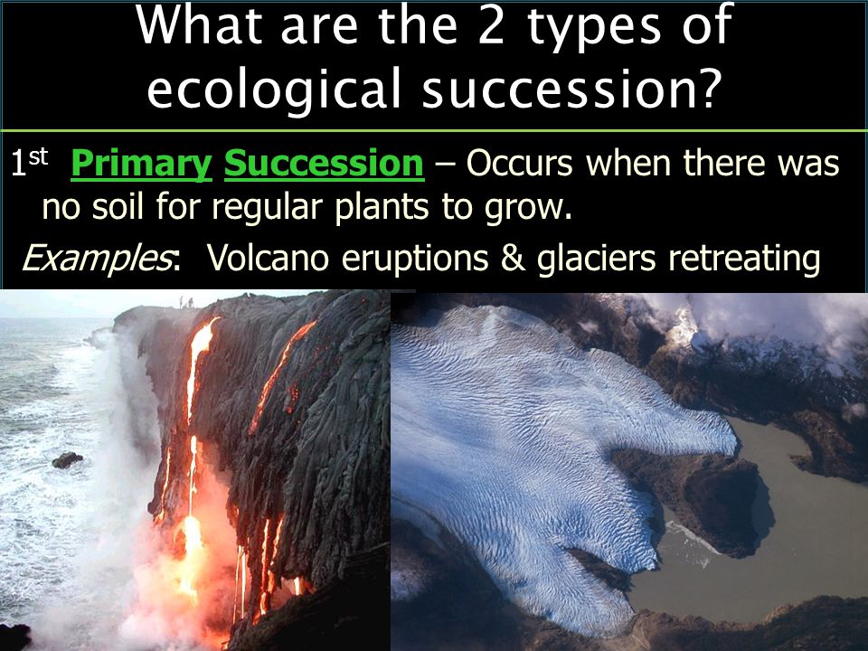 What are the 2 types of ecological succession.