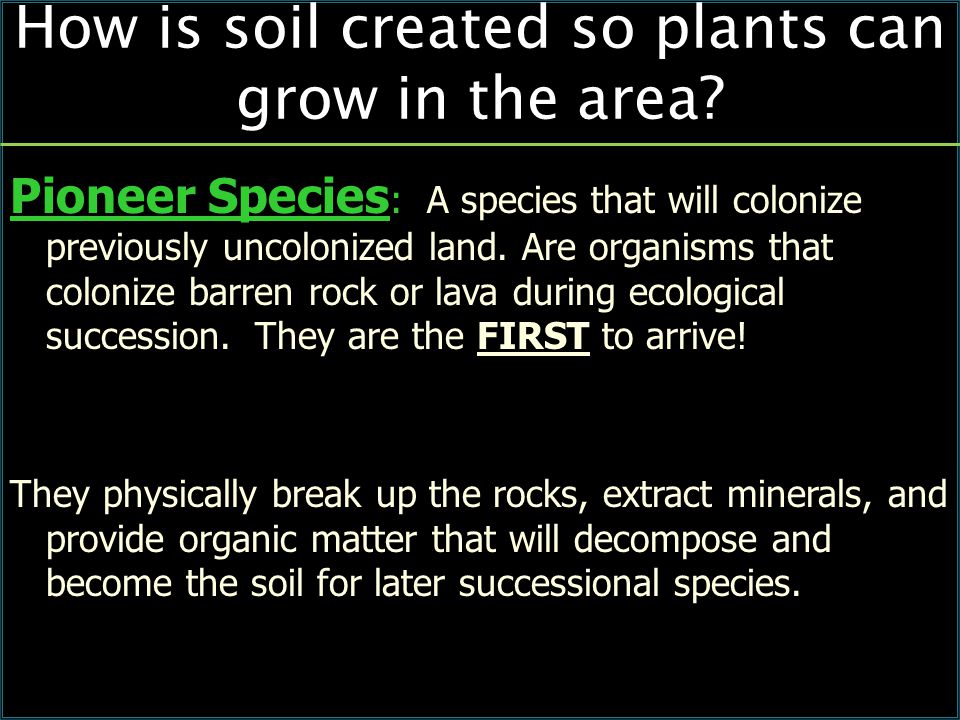 How is soil created so plants can grow in the area.