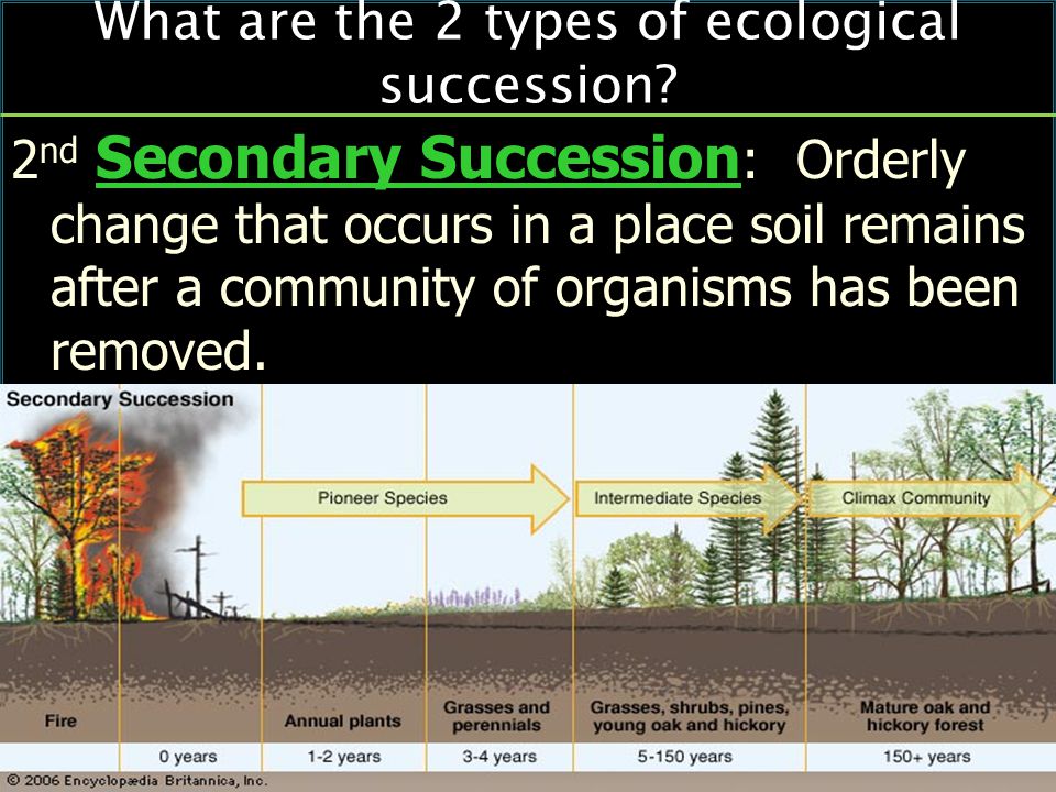2 nd Secondary Succession : Orderly change that occurs in a place soil remains after a community of organisms has been removed.