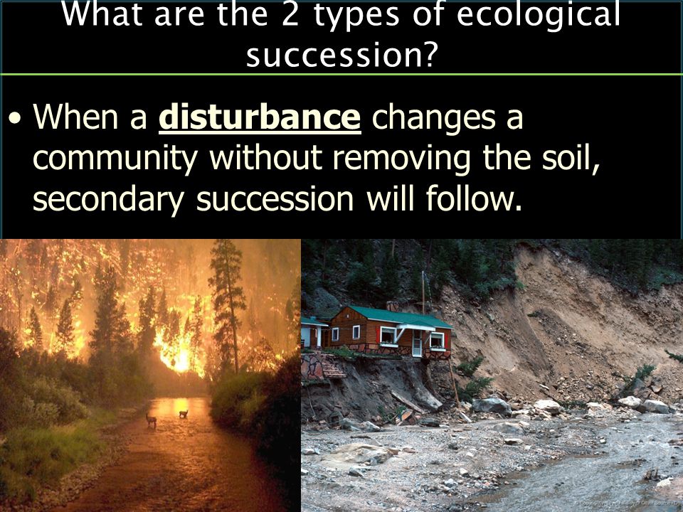 When a disturbance changes a community without removing the soil, secondary succession will follow.