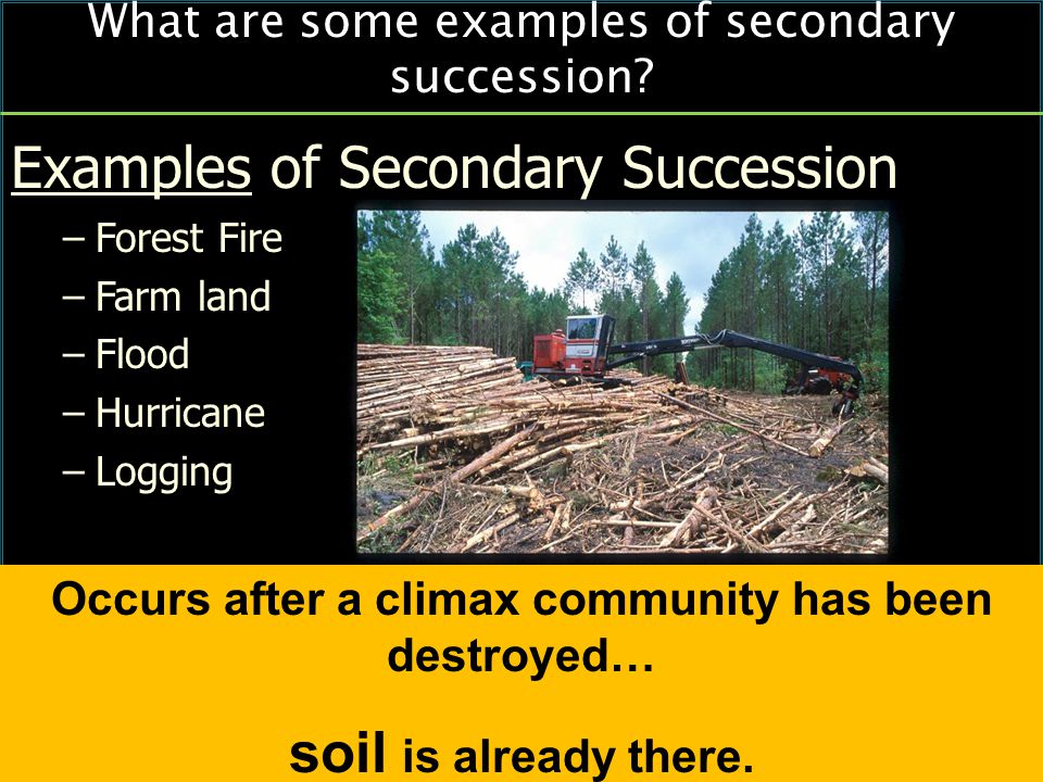What are some examples of secondary succession.