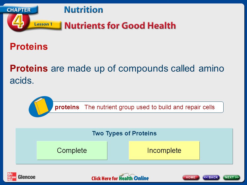 Proteins Proteins are made up of compounds called amino acids.