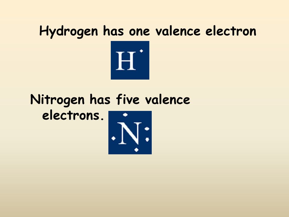 Hydrogen has one valence electron Nitrogen has five valence electrons.