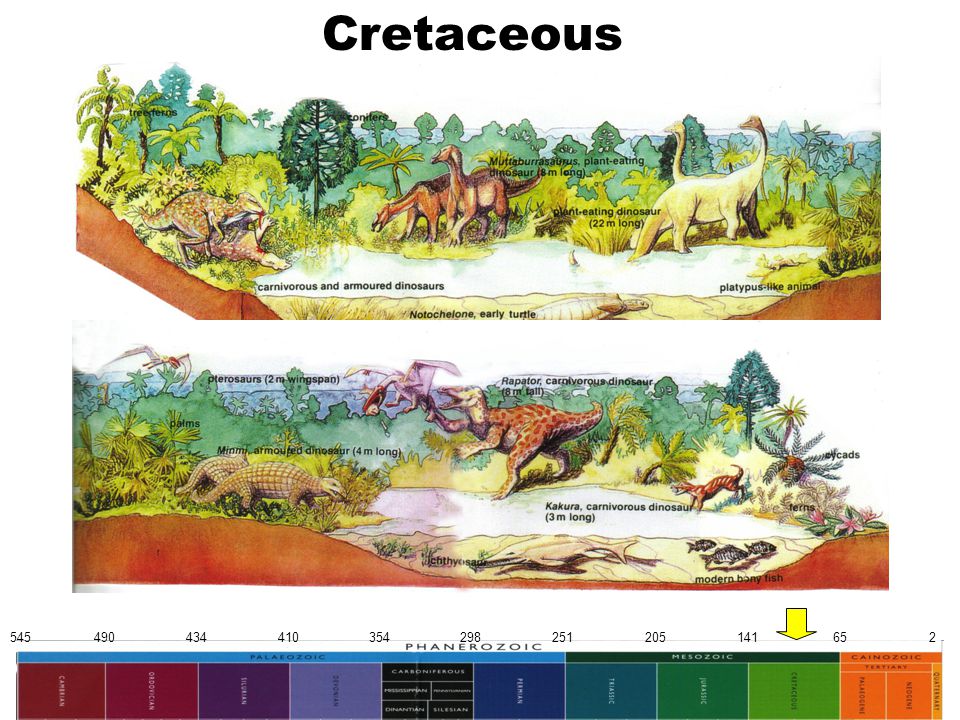 Cretaceous