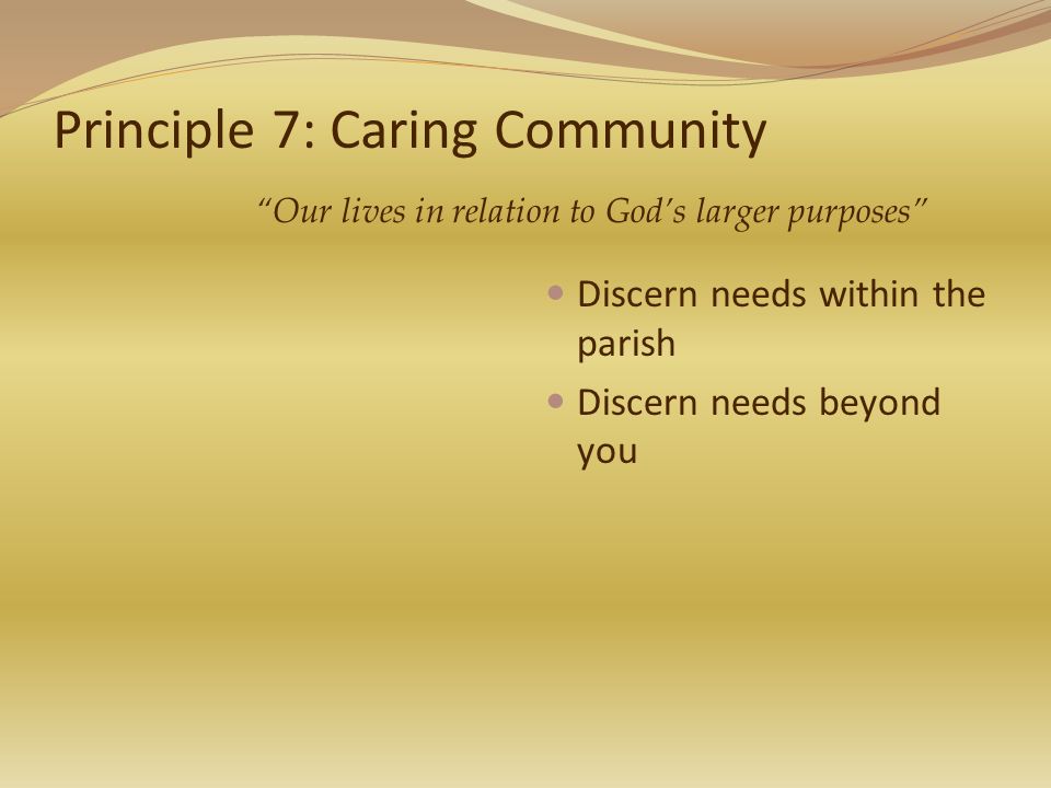 Principle 7: Caring Community Discern needs within the parish Discern needs beyond you Our lives in relation to God’s larger purposes