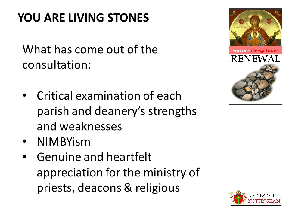 YOU ARE LIVING STONES What has come out of the consultation: Critical examination of each parish and deanery’s strengths and weaknesses NIMBYism Genuine and heartfelt appreciation for the ministry of priests, deacons & religious