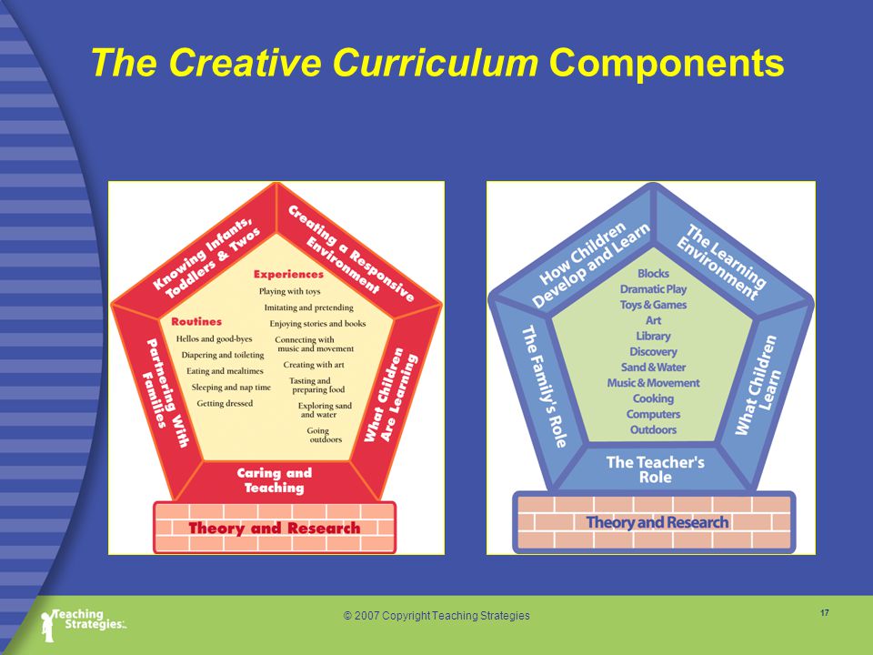 17 © 2007 Copyright Teaching Strategies The Creative Curriculum Components