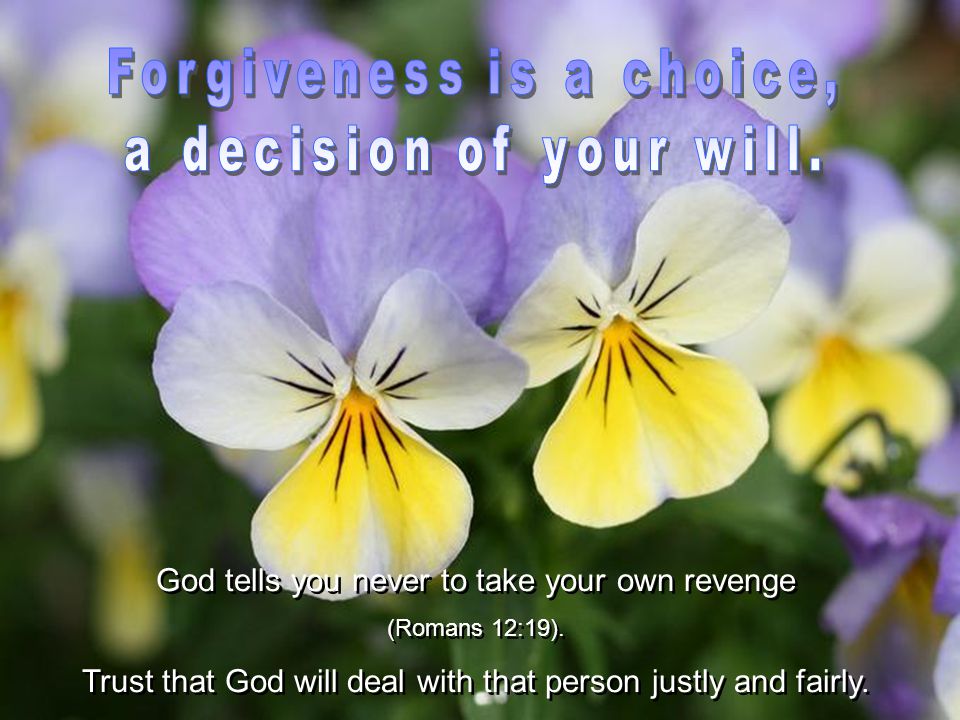 God tells you never to take your own revenge (Romans 12:19).