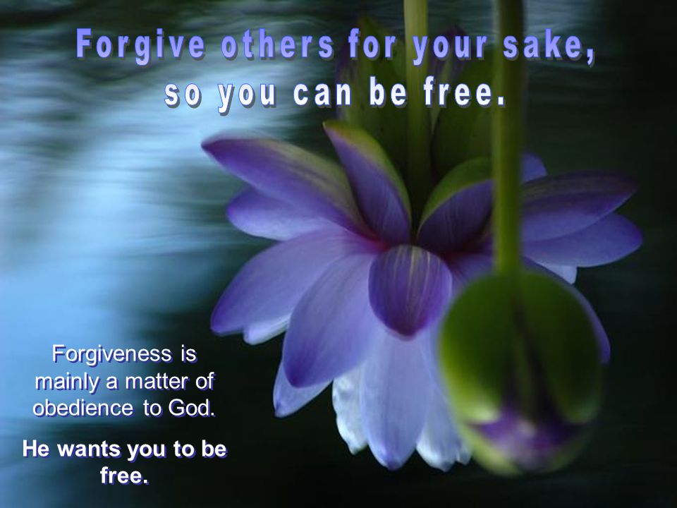 Forgiveness is mainly a matter of obedience to God.