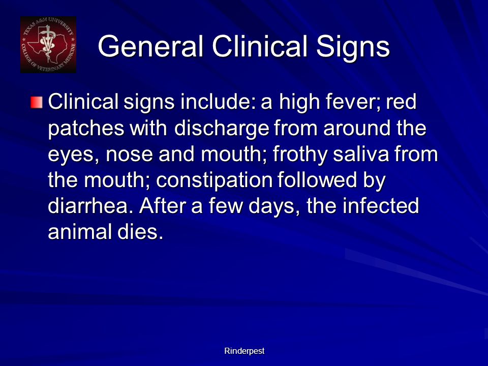 Rinderpest General Clinical Signs Clinical signs include: a high fever; red patches with discharge from around the eyes, nose and mouth; frothy saliva from the mouth; constipation followed by diarrhea.