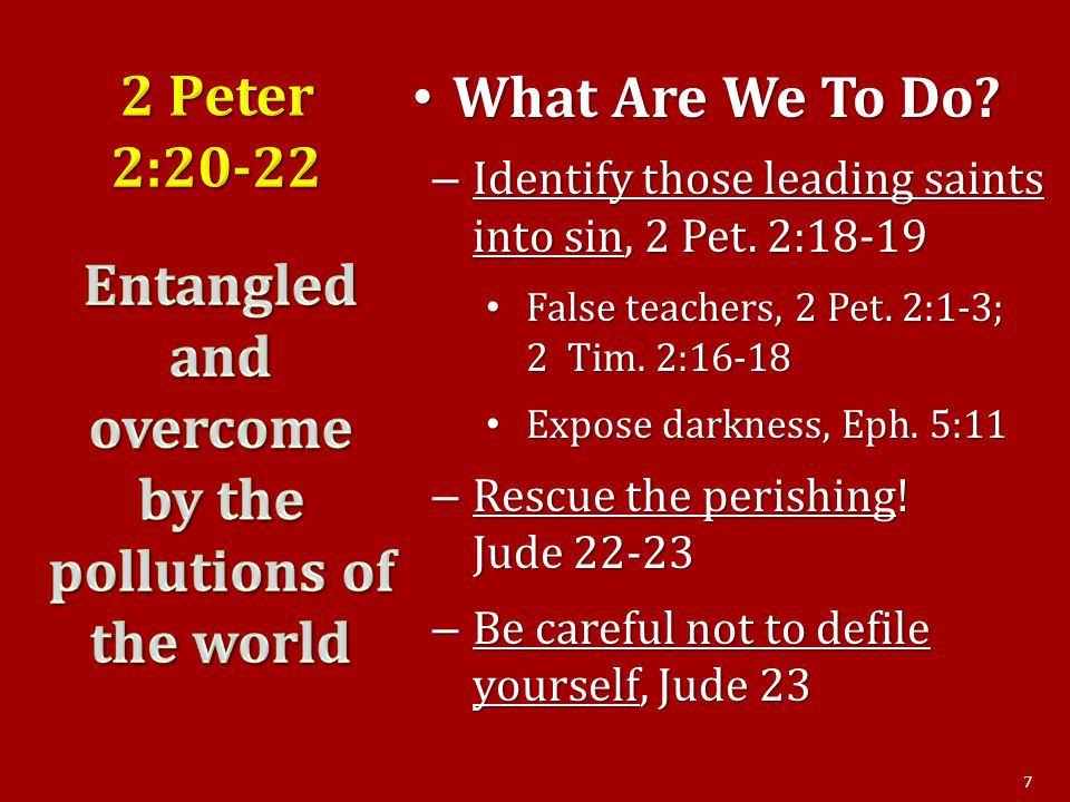 What Are We To Do. What Are We To Do. – Identify those leading saints into sin, 2 Pet.