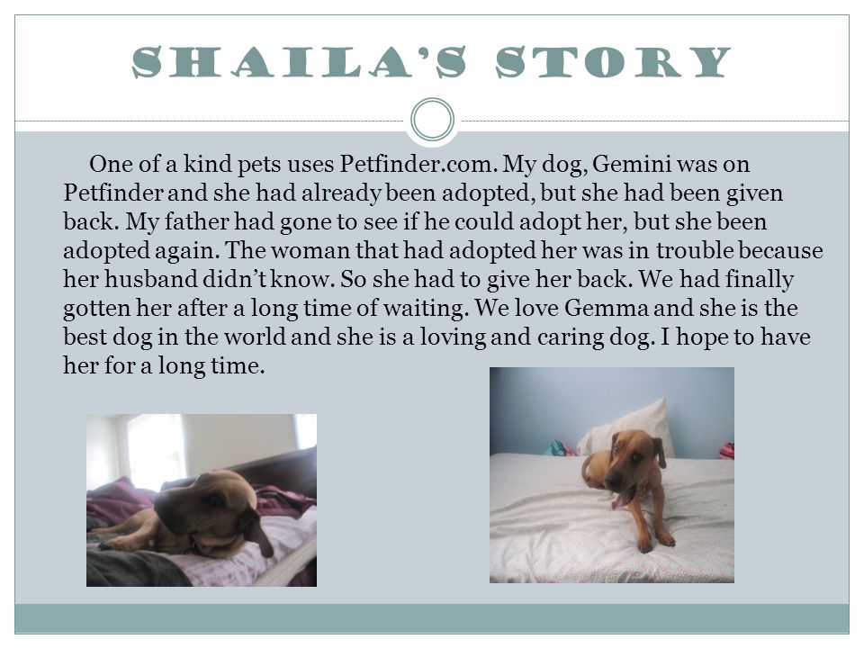 Shaila’s Story One of a kind pets uses Petfinder.com.
