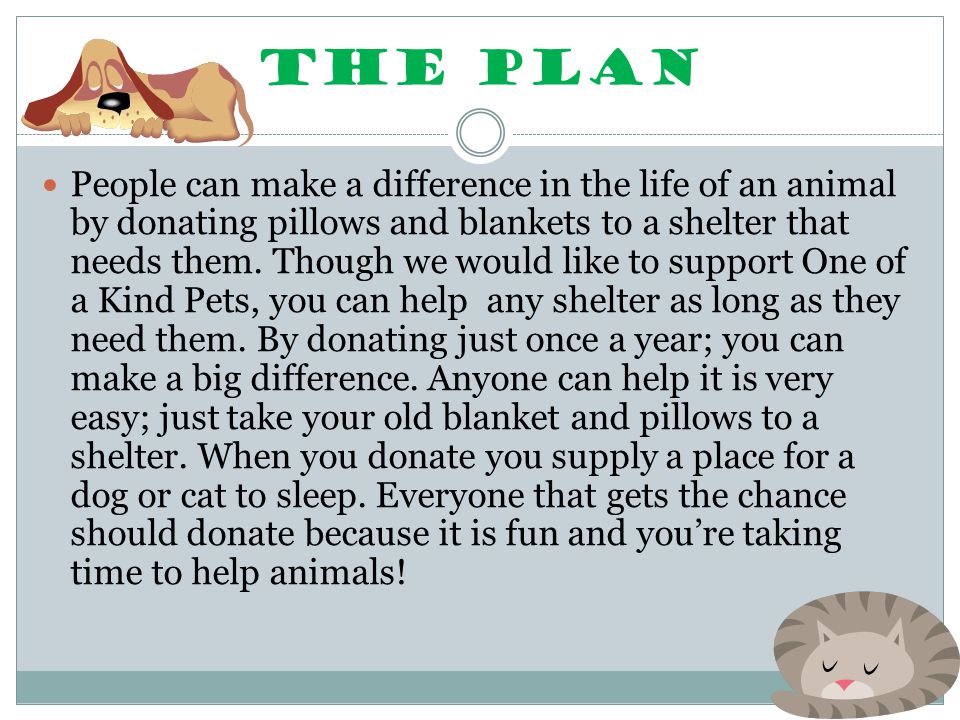 THE PLAN People can make a difference in the life of an animal by donating pillows and blankets to a shelter that needs them.