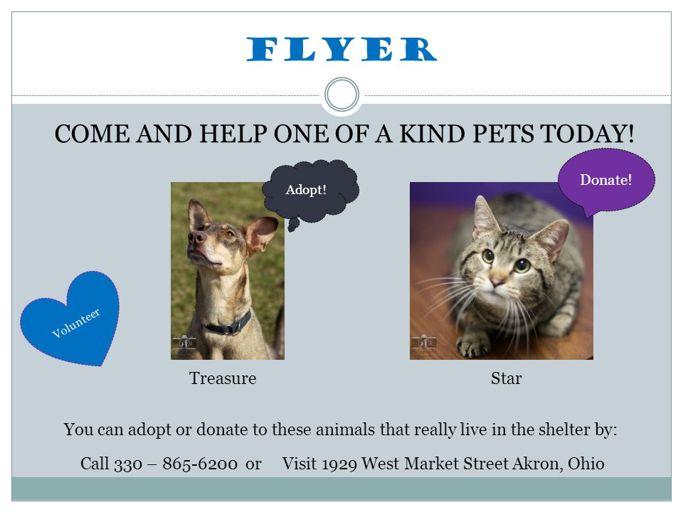 Flyer COME AND HELP ONE OF A KIND PETS TODAY.