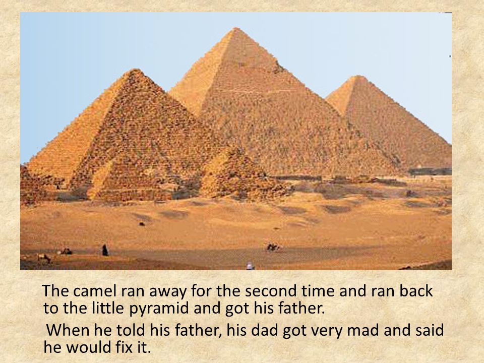 The camel ran away for the second time and ran back to the little pyramid and got his father.
