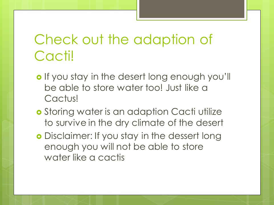 Check out the adaption of Cacti.