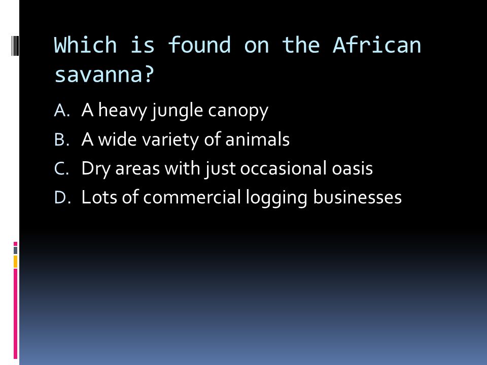 Which is found on the African savanna. A. A heavy jungle canopy B.